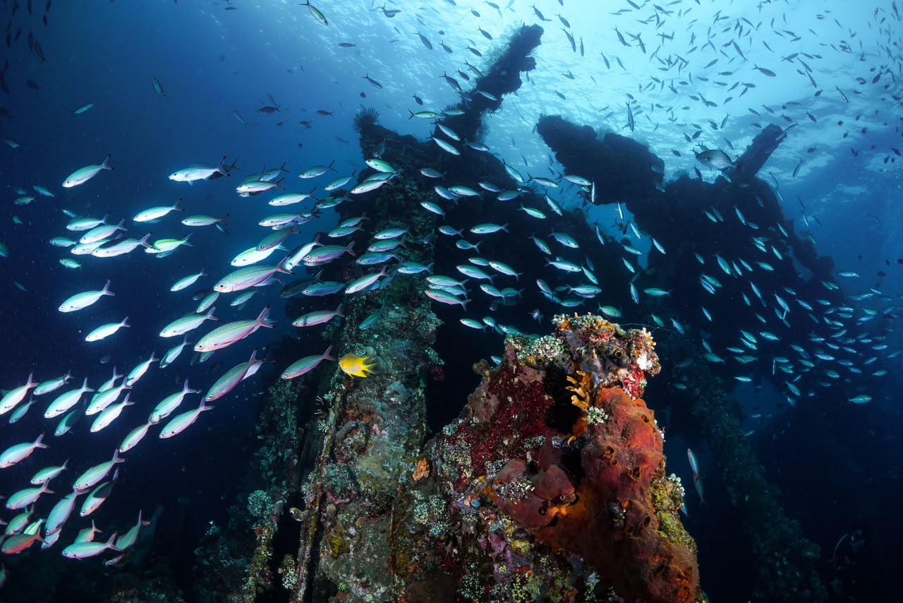 Snorkeling